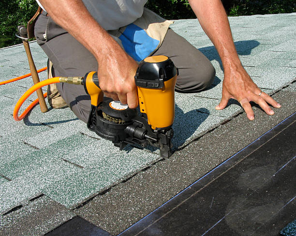 Best Roof Gutter Cleaning  in Swainsboro, GA