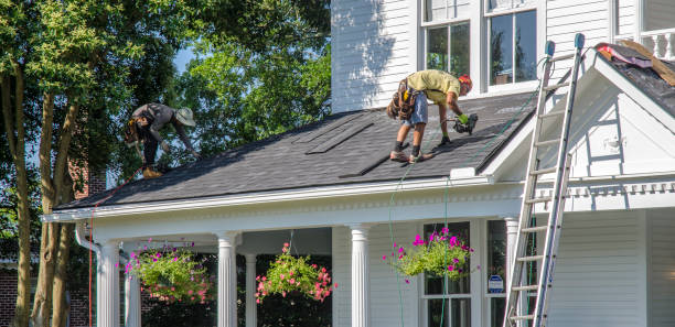 Best Metal Roofing Contractor  in Swainsboro, GA