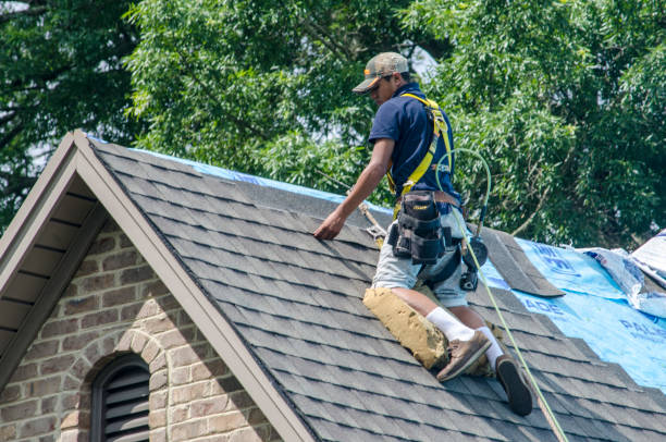 Best Roof Leak Repair  in Swainsboro, GA